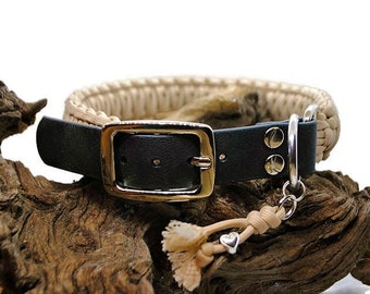 Dog collar | Plain collection - width 3cm | Woof leash