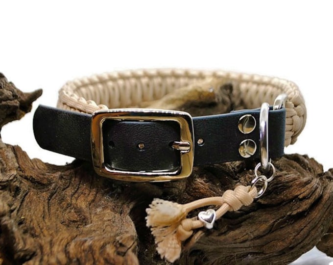 Dog collar | Plain collection - width 3cm | Woof leash