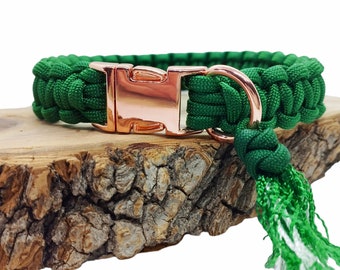 Collier chien Vert sapin - largeur 2cm | Laisse de wouf