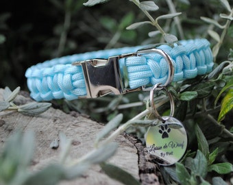 Plain pink or plain blue dog collar - width 2cm | Woof leash