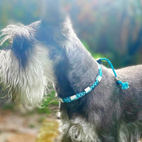 Collier anti-tiques réglable largeur 1cm en céramique EM pour une protection naturelle pour chien | Laissedewouf