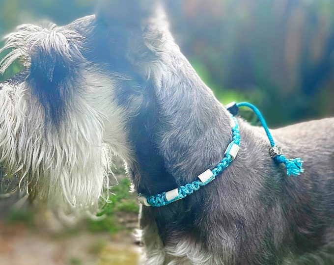 Adjustable anti-tick collar width 1cm in EM ceramic for natural protection for dogs | Laissedewouf