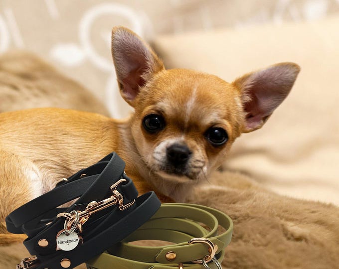 Minidog 3-point leash in 13mm Biothane