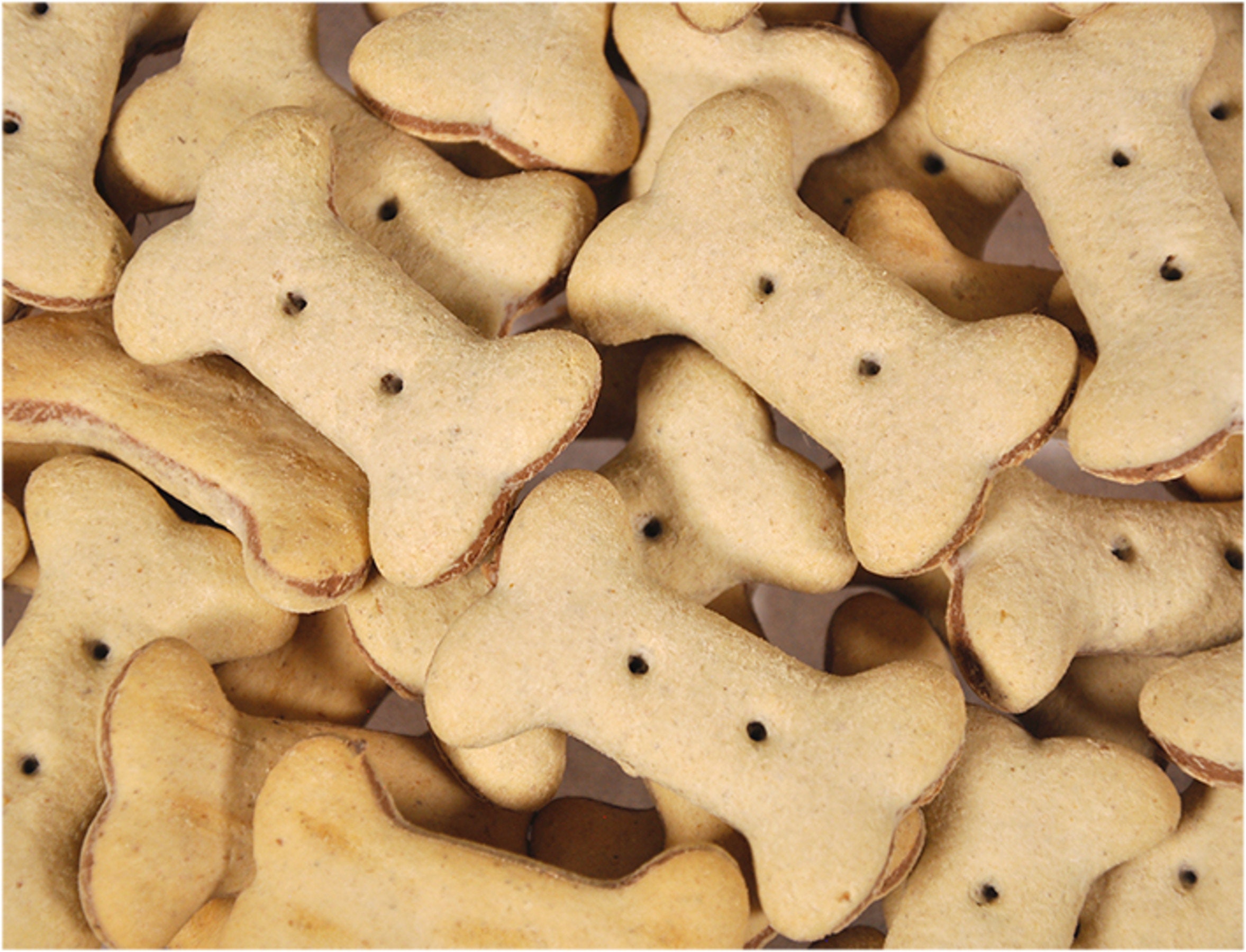 Biscuit Pour Chien Sachet de 100G, Saveur Boeuf/Poulet