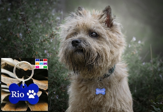 Dog Identification Medal | Pattern: Paw trace / Paw / Wolf paw / Howling wolf