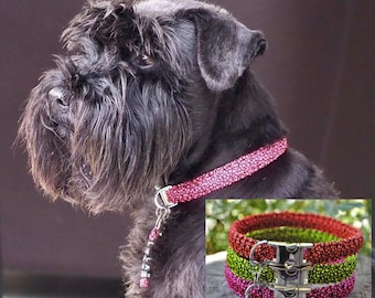 Neon Collection Dog Collar - 1.5cm wide | Woof Leash