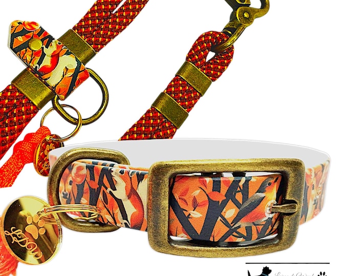 Forest Biothane Dog Collar 19mm | Woof Leash