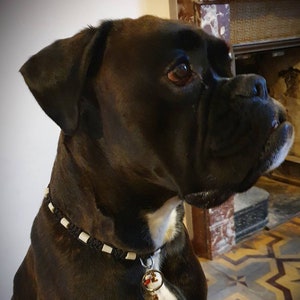 EM ceramic anti-tick dog collar Laissedewouf Uni Collection image 4