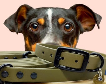 Biothane Collar Model Kiss 16mm | Woof Leash