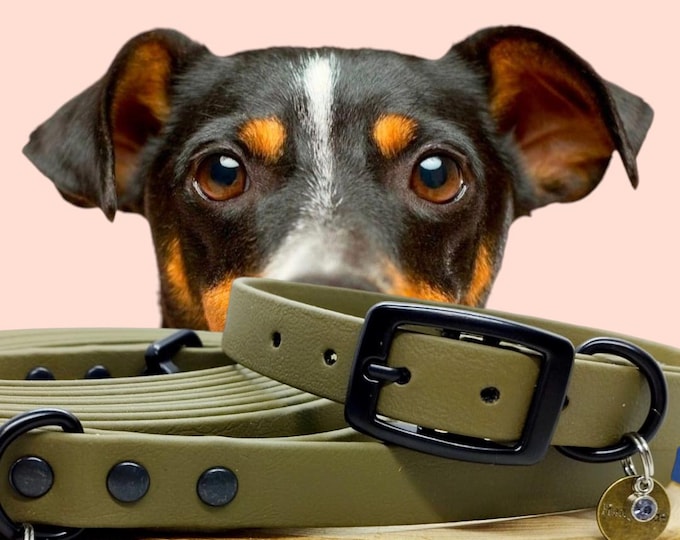 Biothane Collar Model Kiss 16mm | Woof Leash