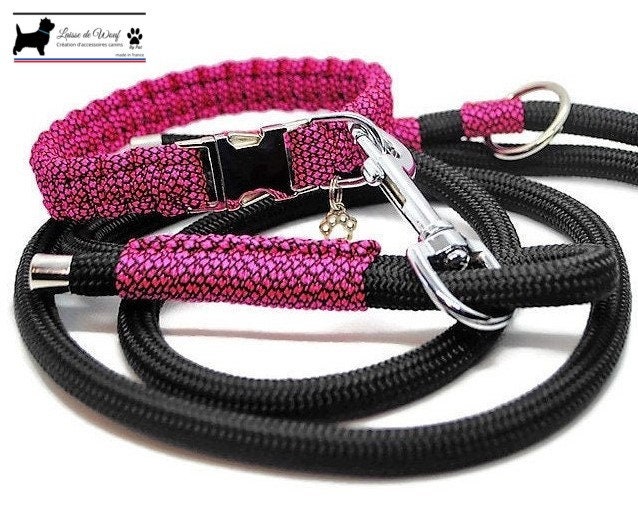 Collier Chien Néon Rose - Largeur 2cm | Laisse de Wouf