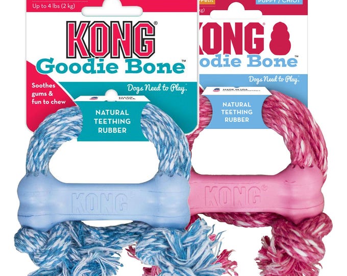 Jouet KONG chiot Goodie Bone avec corde