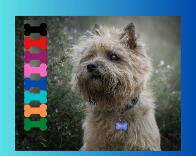 Dog ID tag | Laissedewouf