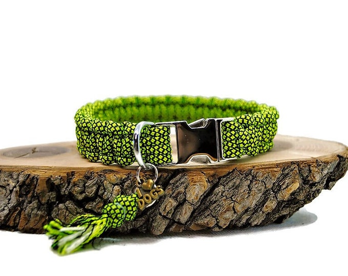 Neon green dog collar - width 2cm | Woof leash