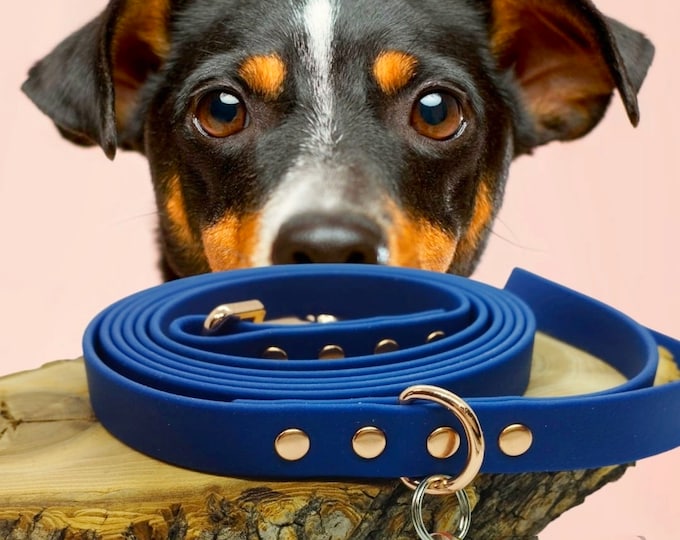 Biothane Leash Model Kiss 16mm | Woof Leash