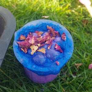 May include: A close-up of a purple and blue bath bomb with dried rose petals on top. The bath bomb is in a purple cup, with a blue top layer. The background is green grass.