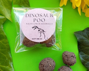 Dinosaur Wildflower Seed Bombs: Eco-Friendly Party Favors