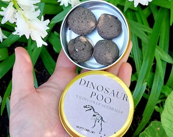 Dinosaur Poo Wildflower Seed Bombs: Eco-Friendly Party Favors