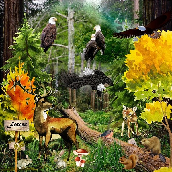Digital Scrapbook Kit Animals of the Northern Forests 12x12 Etsy