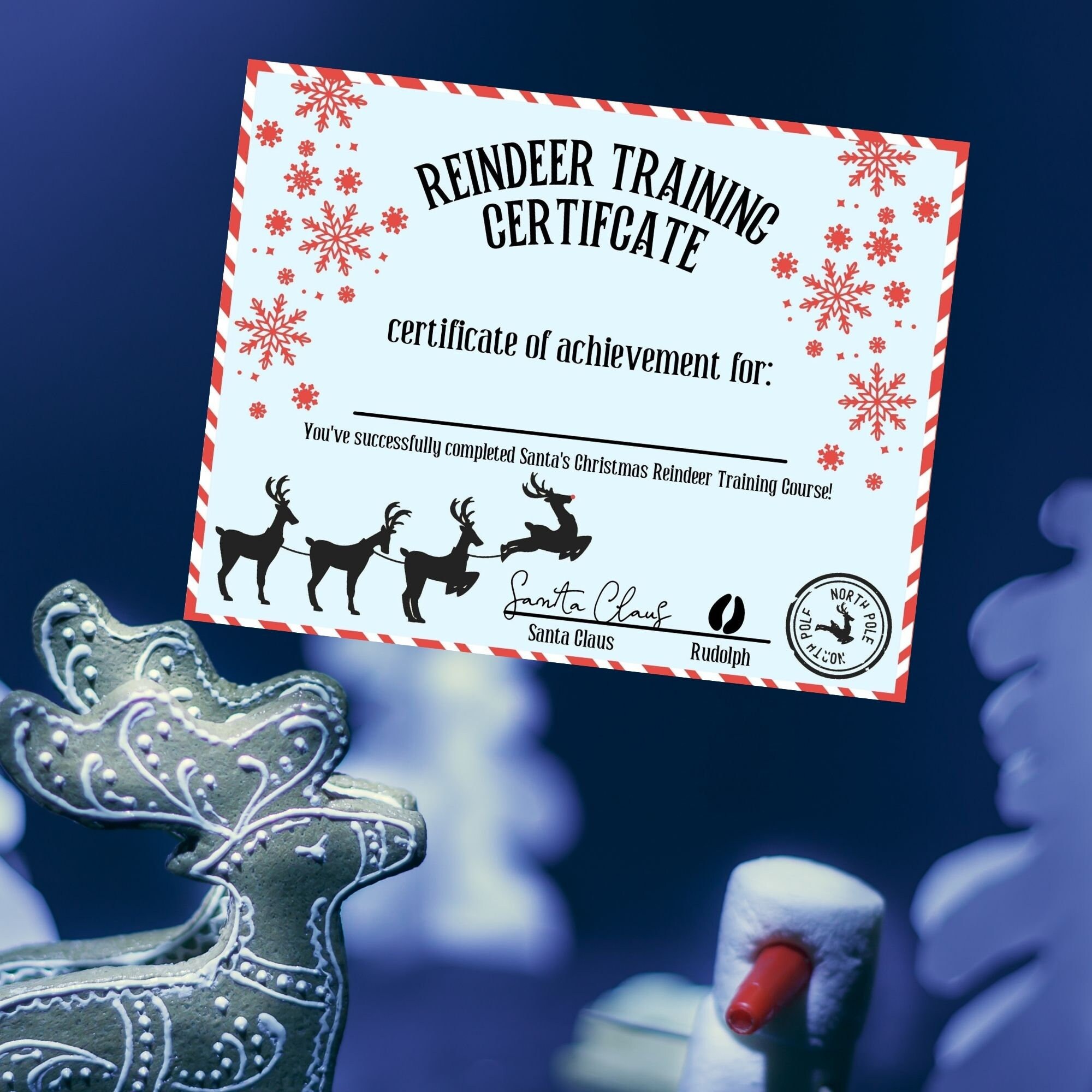 Reindeer Training Certificate - Christmas Certificate for Kids - Etsy