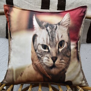 decorative cat pillow cover lovely design boho pillow cover  17 x 17 inch home decor pillow cover bedding decoration pillows  throw pillows