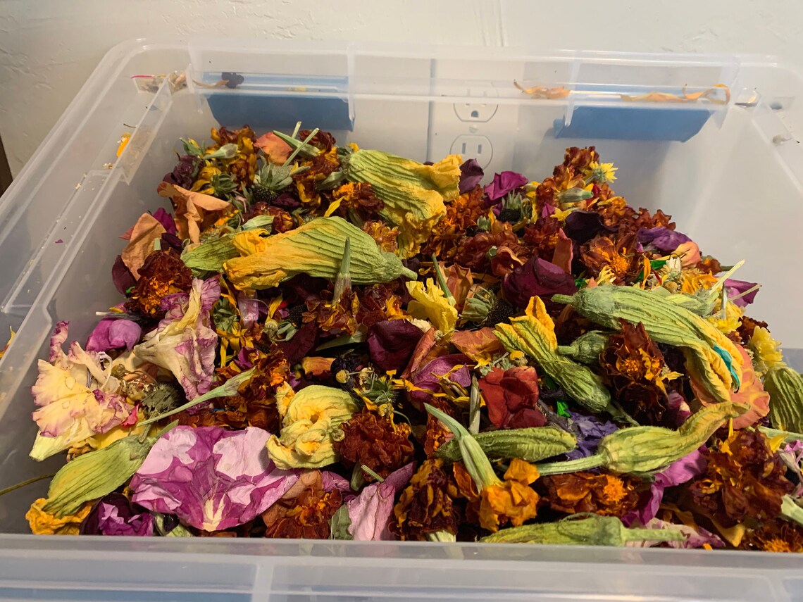 FreezeDried Edible Flowers Etsy