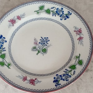 May include: White ceramic plate with a floral design. The plate features blue and pink flowers with green leaves, a blue rope-like border, and a red rim. The plate is round and appears to be for serving food.