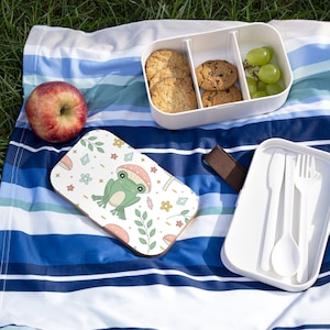 Cute Frog Bento Lunch Box Frog Box - FRG2-4-BENTO