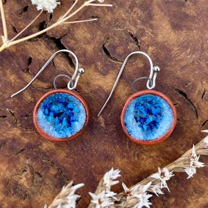 May include: A pair of round earrings with silver hooks. Each earring has a blue and white design within a reddish-brown frame. The earrings are set against a dark, textured wooden surface.