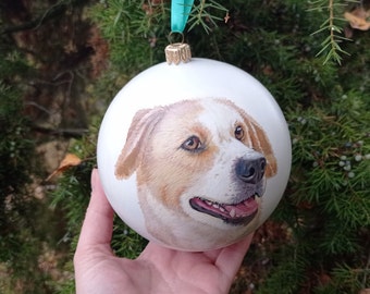 Hand painted christmas ornaments Custom Pet Portrait Ornament Custom dog ornament dog portrait, cat portrait ornament, pet portrait