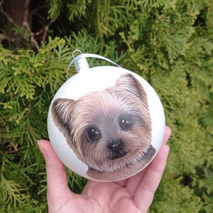 Hand Painted Pet Portrait Christmas Ornament: Custom Dog or Cat Memorial