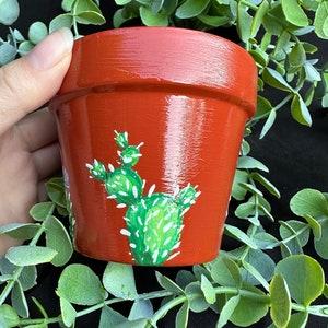 Cactus Plant Pot Cacti Painted Pot Hand painted Planter Cute Planter -Cute Plant Pot - Colorful Pot Painted Pot- Desert Pot - Succulent Pot