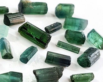 May include: A collection of green and black tourmaline crystals, some with a slight blue hue. The crystals are all elongated and have a smooth, polished surface.
