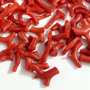 May include: A scattering of small, bright red coral pieces, each with an irregular shape. The coral fragments are spread across a white surface, with some overlapping. The letter "A" is visible in the top right corner.