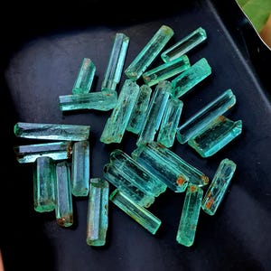 Op de afbeelding: Een verzameling ruwe, teal-kleurige toermalijnkristallen. De kristallen hebben verschillende maten en vormen, met een natuurlijke, ongepolijste uitstraling. Ze worden weergegeven op een zwart oppervlak, met een vage groene achtergrond.