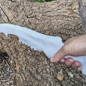 以下が含まれることがあります： ギザギザの歯を持つ恐竜の顎の白いプラスチック製レプリカ。顎は手で持たれています。