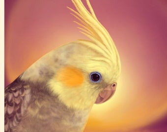 Art Print *Above Clouds* - Cockatiel Illustration