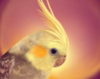 Postcard *Above Clouds* - Cockatiel Illustration