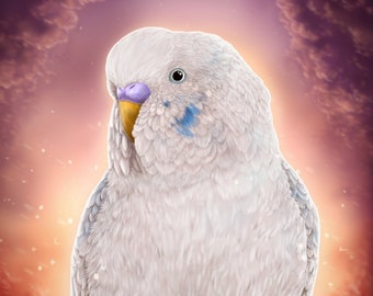 Art Print *Early Dawning* - Budgie Illustration