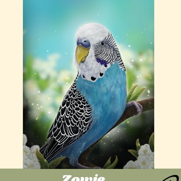 Commissioned Pet Portrait - Digital Illustration - Budgie *Zowie*