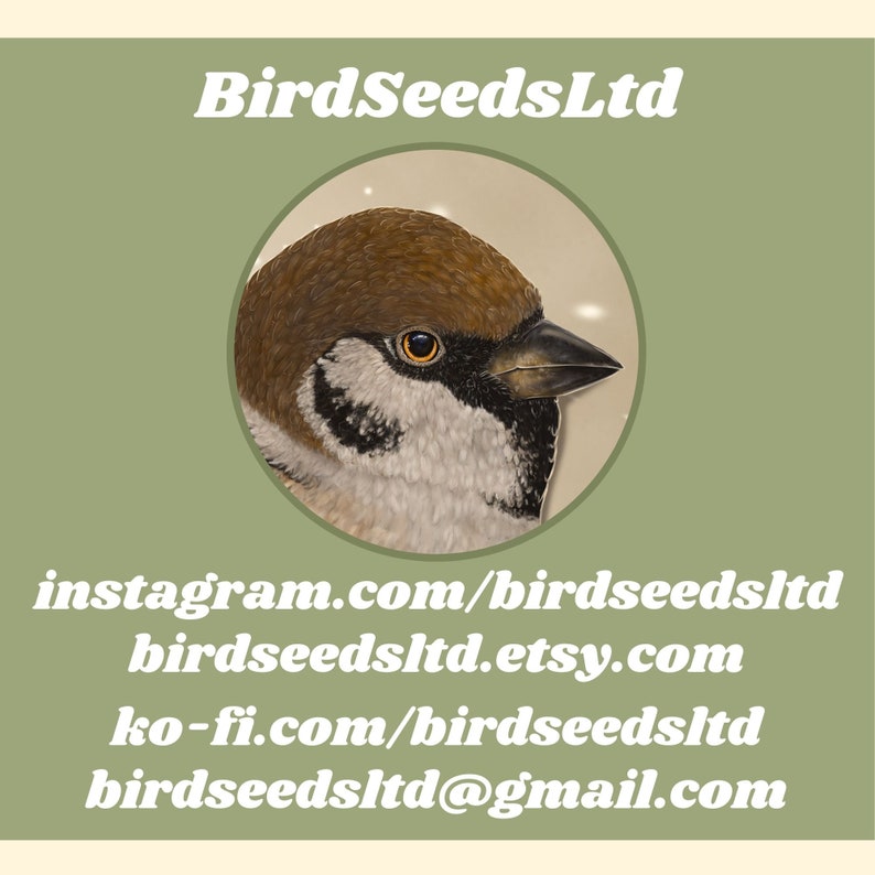 Contact info for BirdSeedsLtd