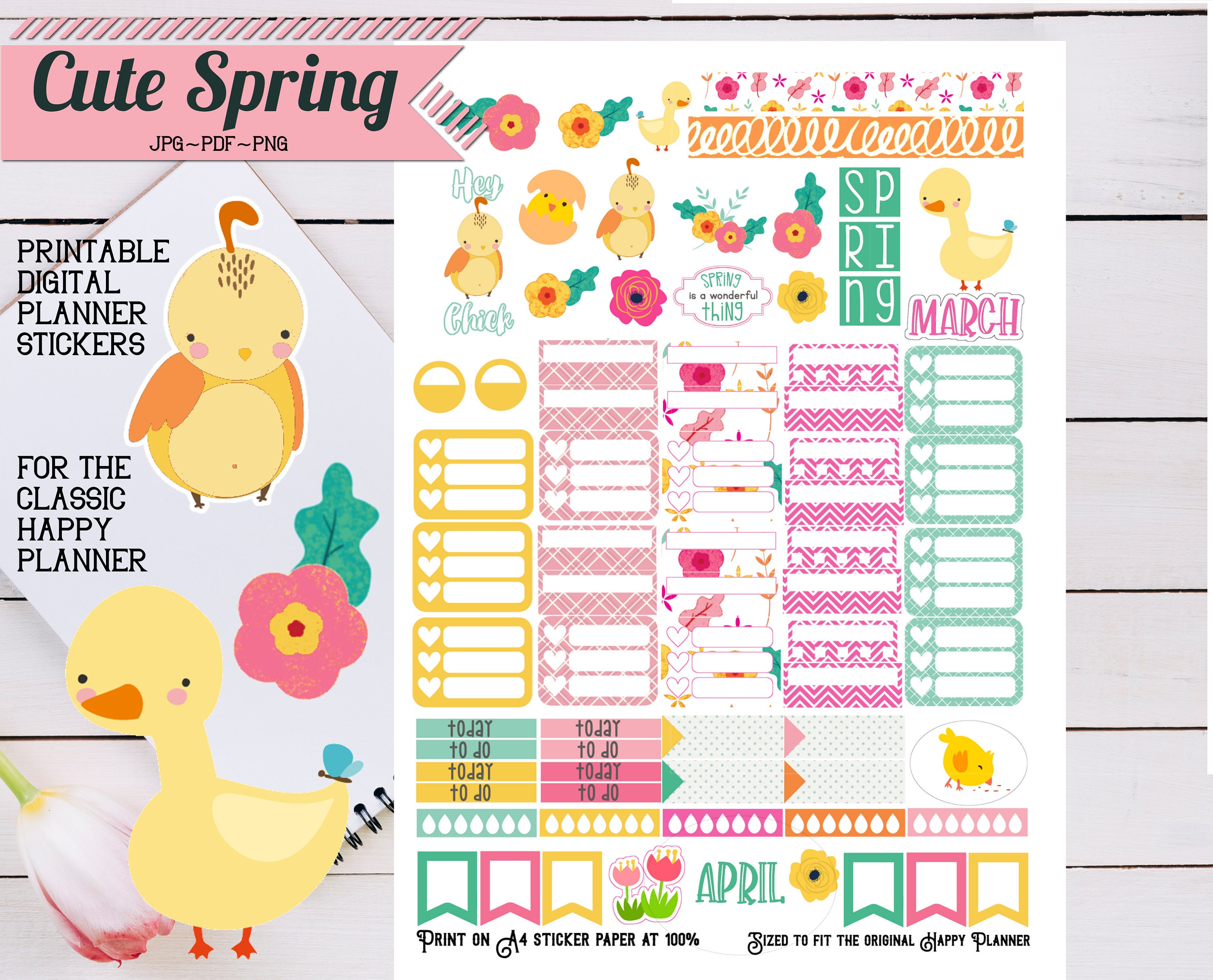 CUTE SPRING ~ Printable Planner Stickers for Classic Happy Planner ...