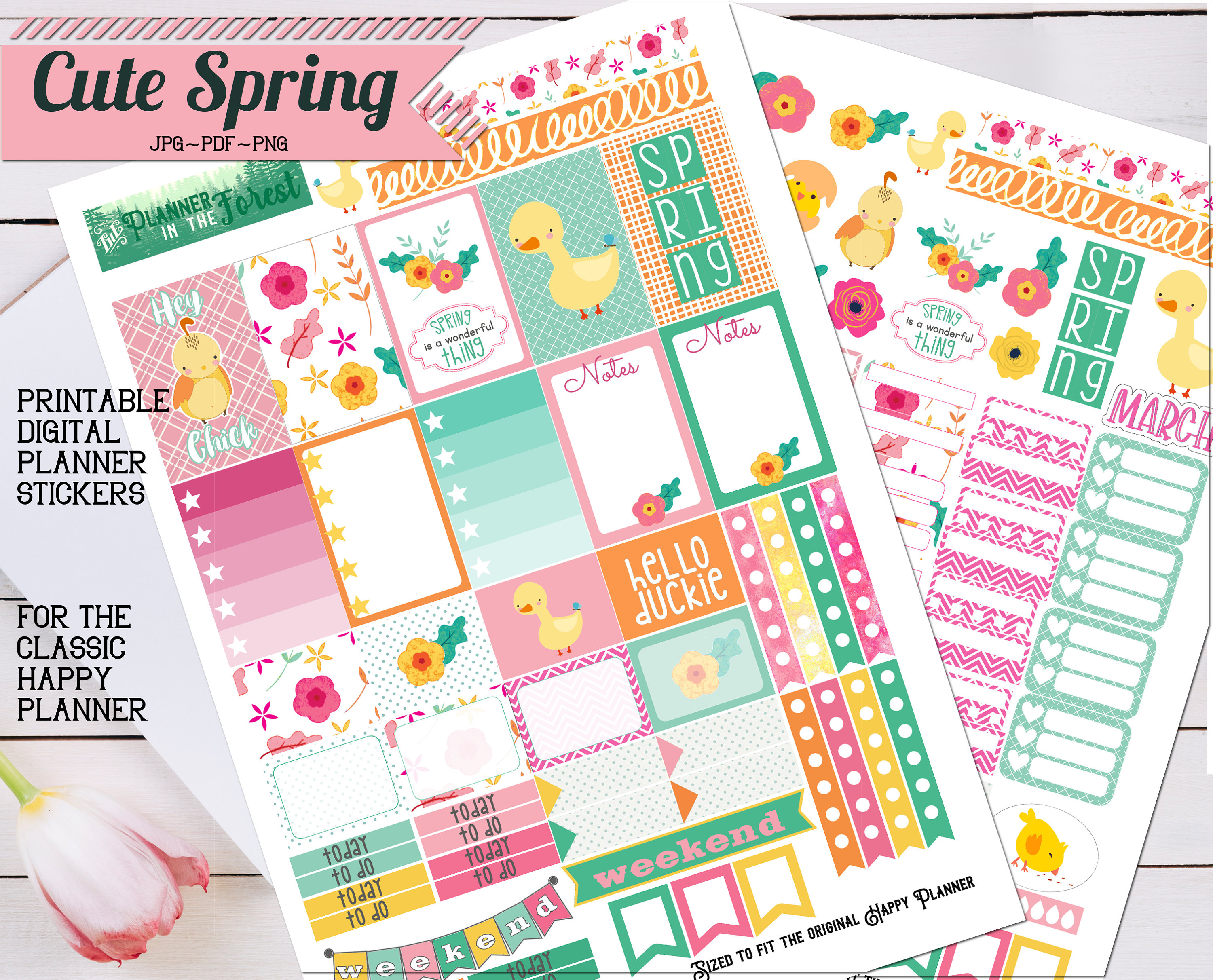 CUTE SPRING ~ Printable Planner Stickers for Classic Happy Planner ...