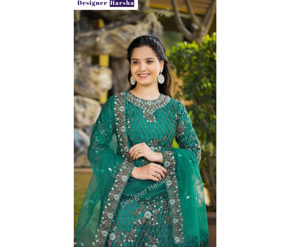 Embroidered Net Shalwar Kameez, Plus Size Indian Trouser Suit