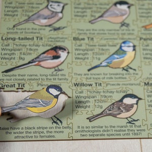 May include: A close-up of a wooden puzzle featuring different types of birds, including a Great Tit, a Long-tailed Tit, a Blue Tit, a Willow Tit, a Marsh Tit, and a Penduline Tit. Each bird is labeled with its name, call, wingspan, length, and weight. The puzzle pieces are arranged in a grid pattern on a light brown surface.