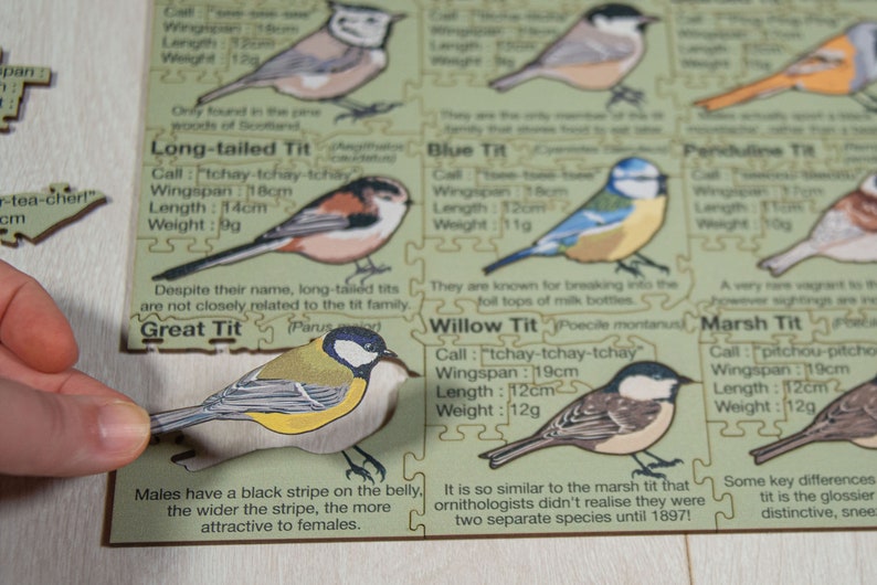 May include: A close-up of a wooden puzzle featuring different types of birds, including a Great Tit, a Long-tailed Tit, a Blue Tit, a Willow Tit, a Marsh Tit, and a Penduline Tit. Each bird is labeled with its name, call, wingspan, length, and weight. The puzzle pieces are arranged in a grid pattern on a light brown surface.