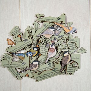 May include: A wooden jigsaw puzzle of different types of birds, including a blue tit, a marsh tit, and a great tit. The puzzle pieces are scattered on a light wood surface. Each piece has a bird illustration and information about the bird, such as its call, wingspan, length, and weight.