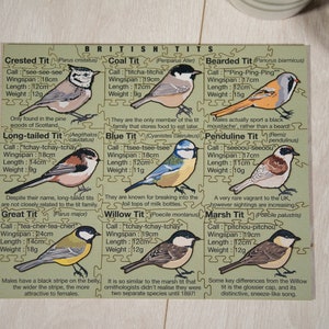 May include: A colorful illustrated guide to British Tits, featuring images and descriptions of different species, including the Crested Tit, Coal Tit, Bearded Tit, Long-tailed Tit, Great Tit, Blue Tit, Penduline Tit, Willow Tit, and Marsh Tit. Each species is described with its call, wingspan, length, and weight.
