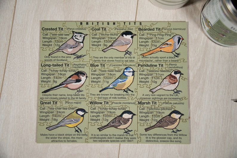 May include: A colorful illustrated guide to British Tits, featuring images and descriptions of different species, including the Crested Tit, Coal Tit, Bearded Tit, Long-tailed Tit, Great Tit, Blue Tit, Penduline Tit, Willow Tit, and Marsh Tit. Each species is described with its call, wingspan, length, and weight.