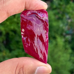 May include: A raw, uncut ruby gemstone with a deep red color. The stone is held between two fingers, showcasing its irregular shape and natural texture. The background is a blurred green, highlighting the gemstone.